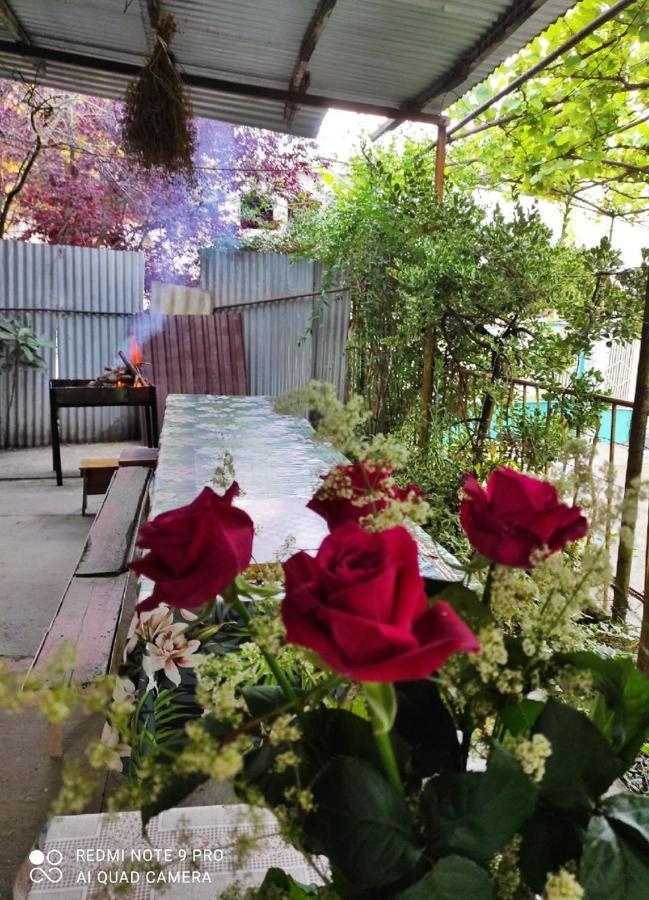 Guest House New Athos Exterior photo