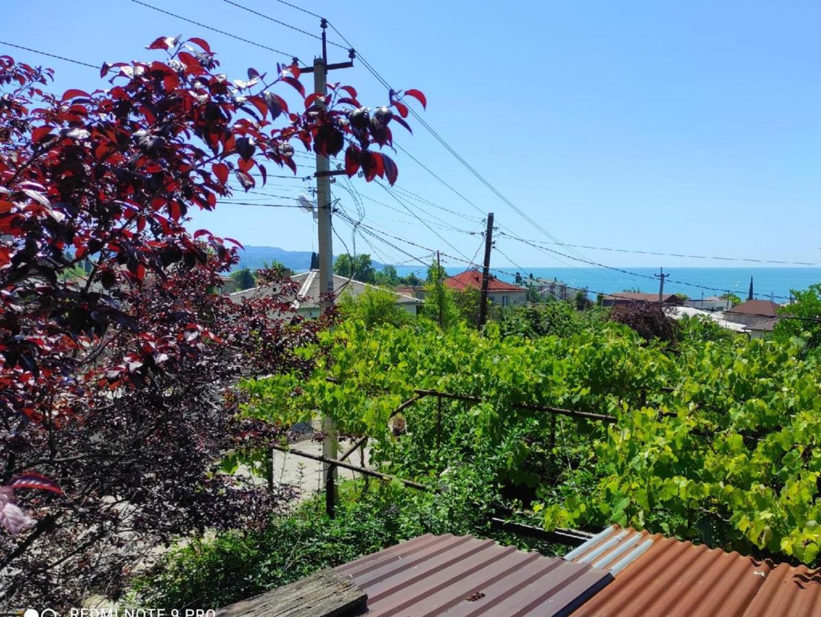 Guest House New Athos Exterior photo